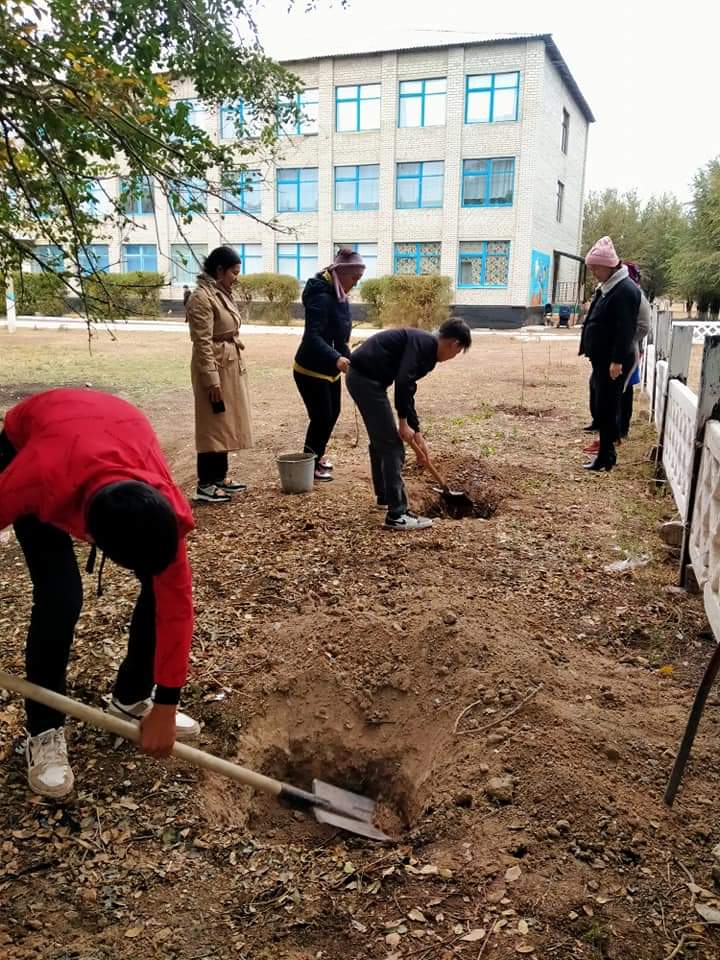 25 казан Республика кунине орай оқушылар мектептің ауласына тал екті.