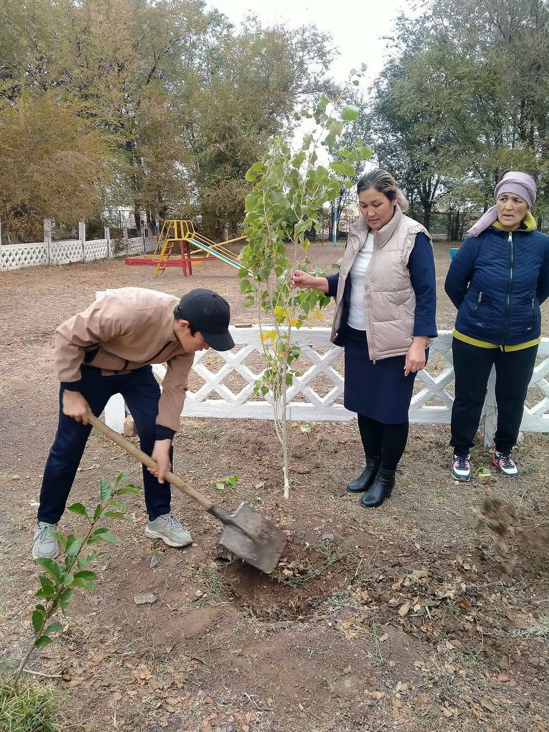 25 казан Республика кунине орай оқушылар мектептің ауласына тал екті.
