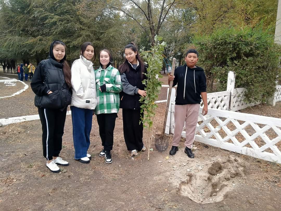 25 казан Республика кунине орай оқушылар мектептің ауласына тал екті.